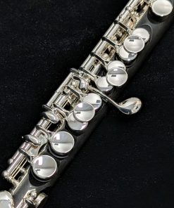 Haynes Amadeus AP46 Composite Piccolo - Keywork