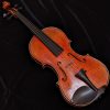 2017 Classical Strings 950 CS Jude Violin – Haddock