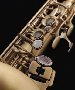 Kessler Custom Standard Series Alto Sax - Brushed Matte Antique