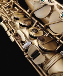 Kessler Custom Standard Series Alto Sax - Brushed Matte Antique