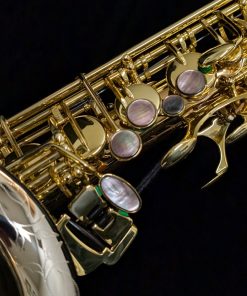 Kessler Custom - Handmade Series Kessler 20 Alto Sax - Left Hand