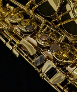 Kessler Custom - Handmade Series Kessler 20 Alto Sax - Right Hand