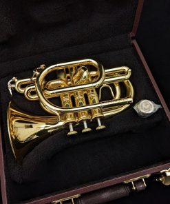 Kessler Custom Artist Series Pocket Trumpet - Case Interior