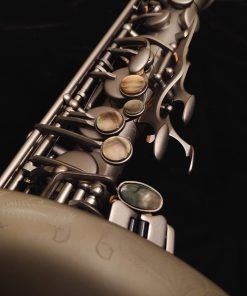 Kessler Custom Desert Deluxe Alto Sax - Satin Black Finish