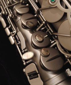 Kessler Custom Desert Deluxe Alto Sax - Satin Black Finish