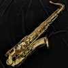 Kessler Custom Performance Series Tenor Sax