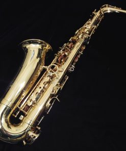 Kessler Custom Standard Series Intermediate Alto Sax - Gold Lacquer
