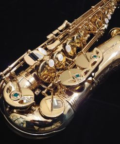 Kessler Custom Standard Series Intermediate Alto Sax - Gold Lacquer