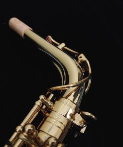 Kessler Custom Standard Series Intermediate Alto Sax - Gold Lacquer