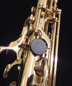 Kessler Custom Standard Series Intermediate Alto Sax - Gold Lacquer