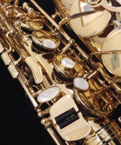 Kessler Custom Standard Series Intermediate Alto Sax - Gold Lacquer