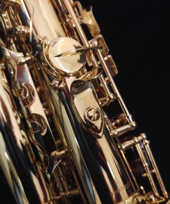Kessler Custom Standard Series Intermediate Alto Sax - Gold Lacquer