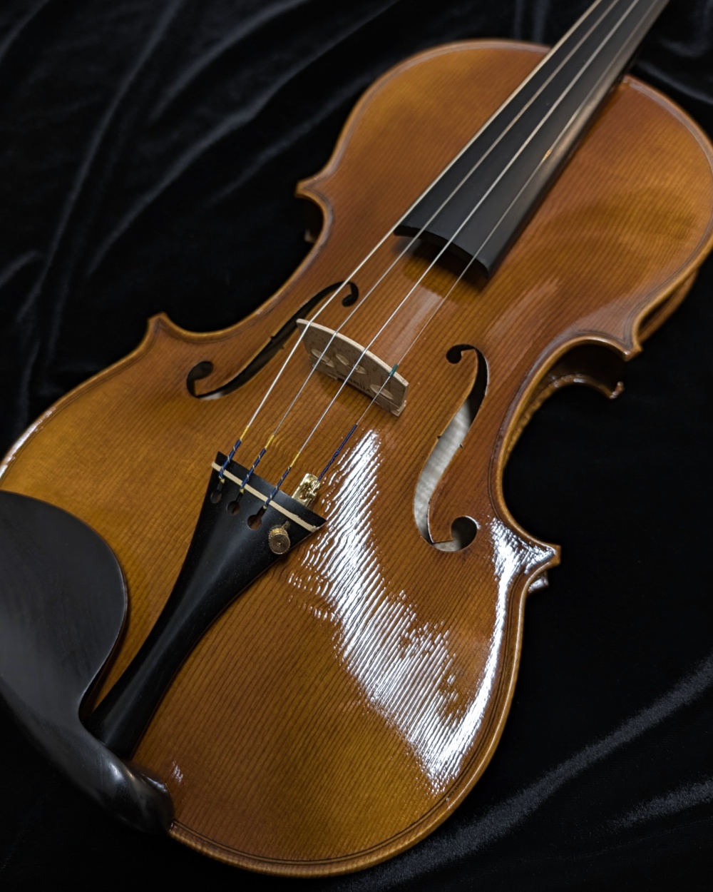 LaChambre VL04 Step-Up Violin - Spruce Top