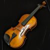 LaChambre VA01 Student Viola