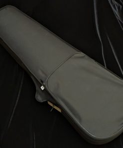 LaChambre VA01 Student Viola - Case