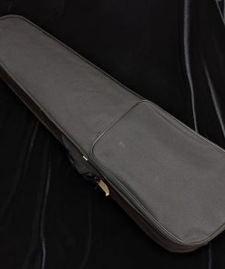 LaChambre VL01 Student Violin - Case