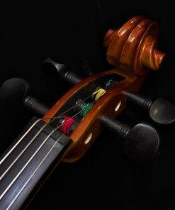LaChambre VL01 Student Violin - Peg Box