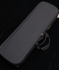 LaChambre VL05 Violin Outfit with Braided Carbon Fiber Bow - Case