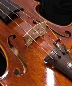 LaChambre VL05 Violin Outfit with Braided Carbon Fiber Bow - Top