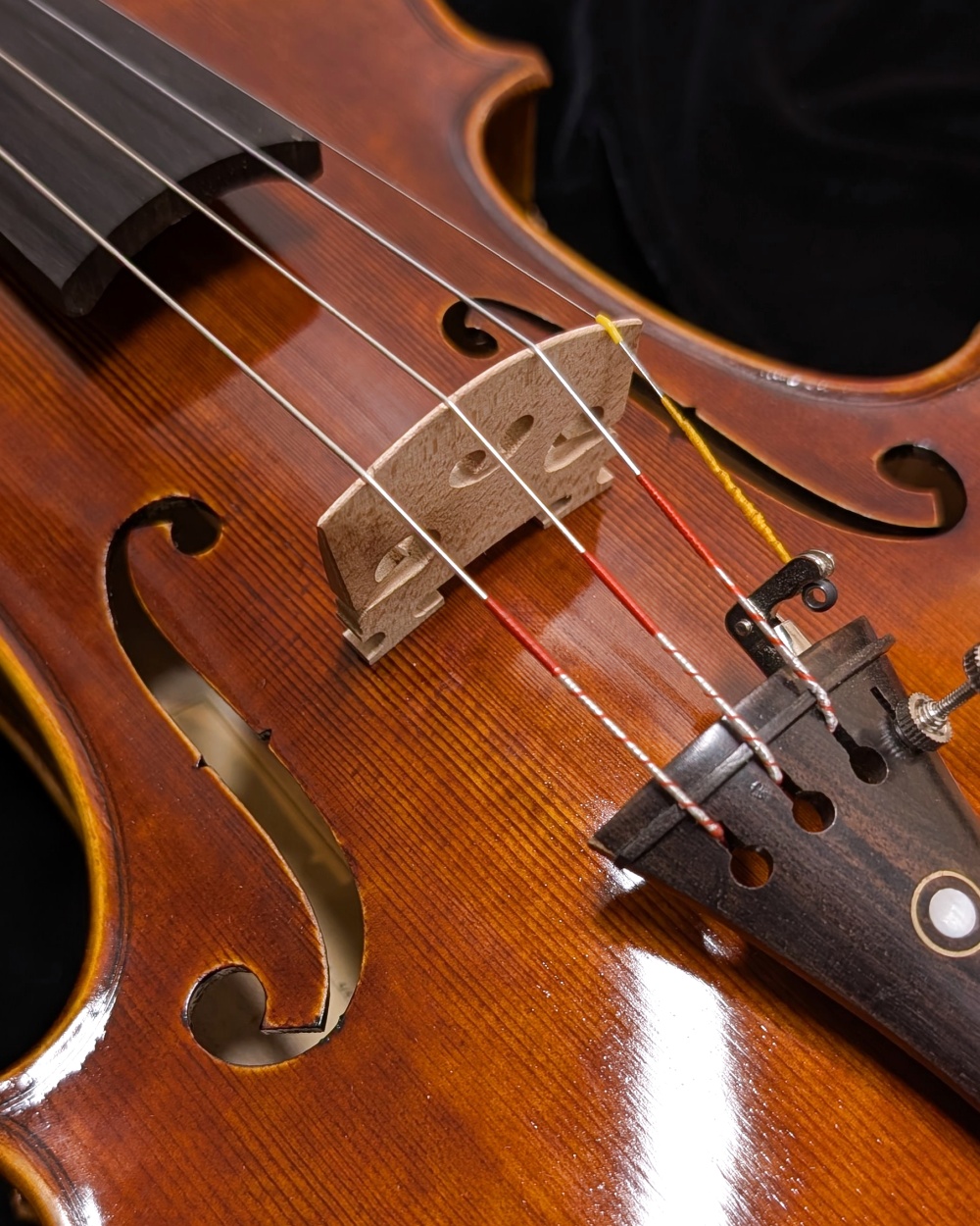 LaChambre VL05 Violin Outfit with Braided Carbon Fiber Bow - Top