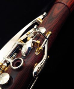 Backun Lumiere Clarinet - Cocobolo, Silver Keys, Gold Posts, Silver Tubes