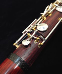 Backun Lumiere Clarinet - Cocobolo, Silver Keys, Gold Posts, Silver Tubes
