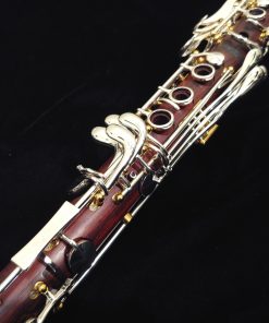 Backun Lumiere Clarinet - Cocobolo, Silver Keys, Gold Posts, Silver Tubes