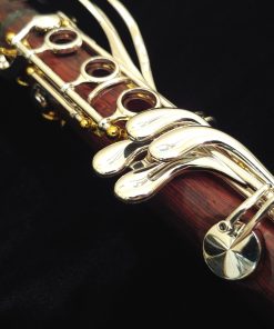 Backun Lumiere Clarinet - Cocobolo, Silver Keys, Gold Posts, Silver Tubes