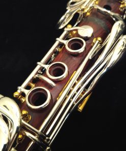 Backun Lumiere Clarinet - Cocobolo, Silver Keys, Gold Posts, Silver Tubes