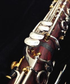 Backun Lumiere Clarinet - Cocobolo, Silver Keys, Gold Posts, Silver Tubes