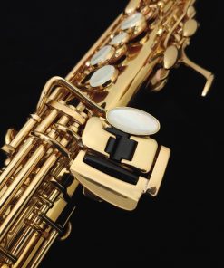 Antigua Soprano Sax - Old Stock, New A590LQ