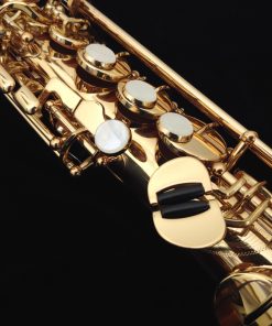 Antigua Soprano Sax - Old Stock, New A590LQ