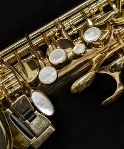 Overhauled Selmer Paris Series II Alto Sax - #519293 - Left Hand