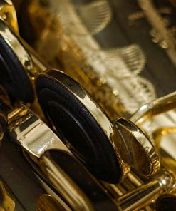 Overhauled Selmer Paris Series II Alto Sax - #519293 - Pads
