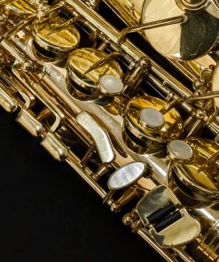 Overhauled Selmer Paris Series II Alto Sax - #519293 - Right Hand
