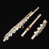 Powell Sonare 905 Flute