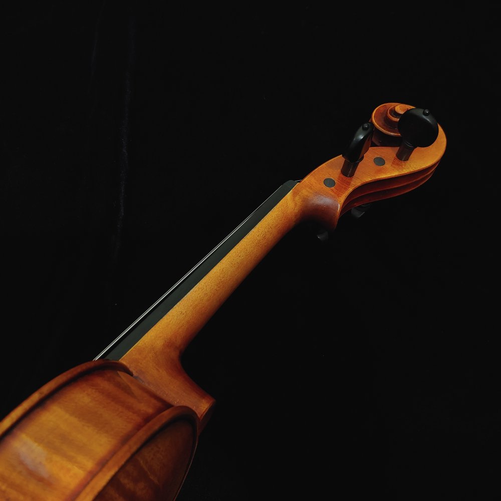 Scott Cao Ex-David 750E Violin