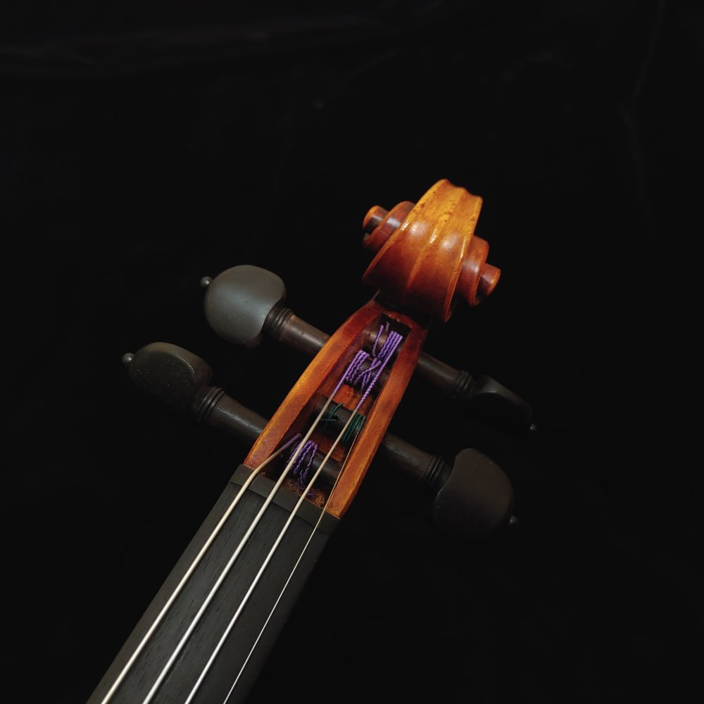 Scott Cao Ex-David 750E Violin
