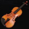 Scott Cao DaSalo 750E Violin - One Piece Back