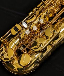 Selmer Paris Signature Alto Sax - Dark Lacquer - Key Guards