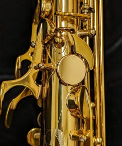 Selmer Paris Signature Alto Sax - Dark Lacquer - Octave