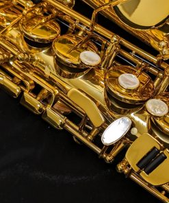 Selmer Paris Signature Alto Sax - Dark Lacquer - Right Hand