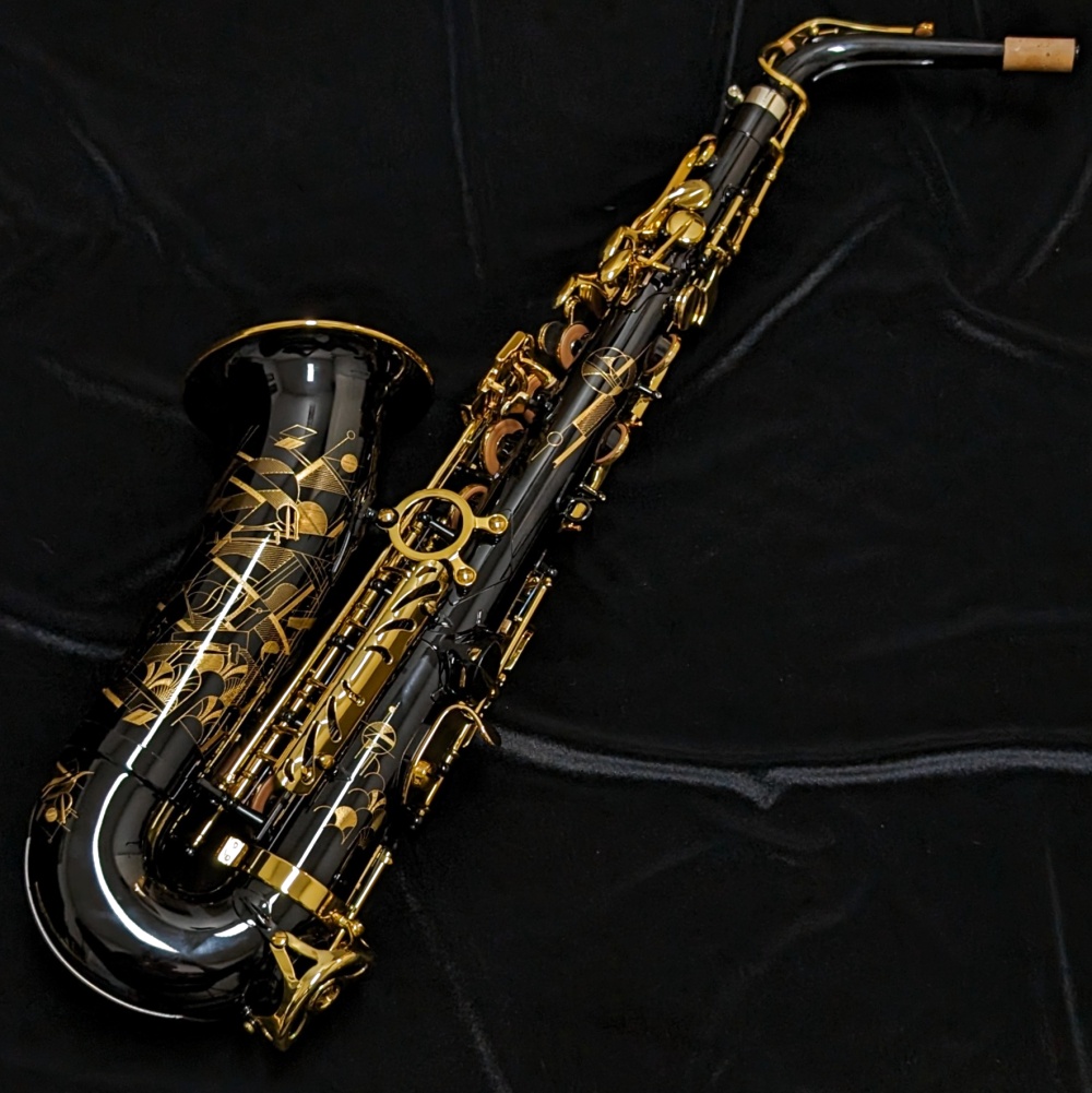 Selmer Paris Signature Alto Sax - Black Lacquer - Back of Sax