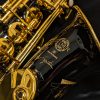 Selmer Paris Signature Alto Sax - Black Lacquer - Logo