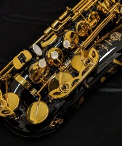 Selmer Paris Signature Alto Sax - Black Lacquer - Keyguards