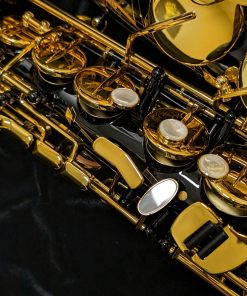 Selmer Paris Signature Alto Sax - Black Lacquer - Right Hand