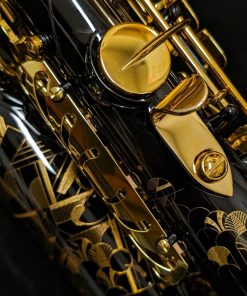 Selmer Paris Signature Alto Sax - Black Lacquer - Thumb Rest
