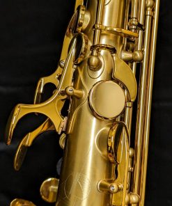 Selmer Paris Signature Alto Sax - Brushed Lacquer - Octave
