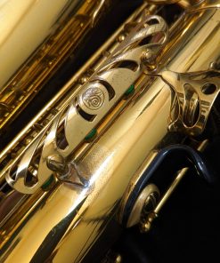 1971 Selmer Paris Mark VI Alto Sax (#192,682) - Clothes Guard
