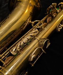 1963 Selmer Paris Mark VI Alto Sax (#109,281) - Back Body